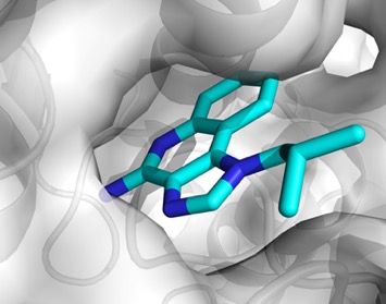 molecule bloquant le site actif d'une enzyme